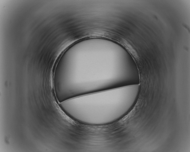X0000098121036200804040819