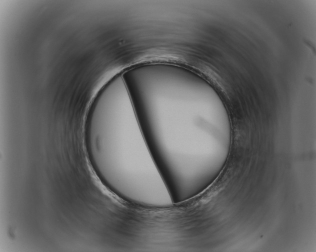 X0000098121038200804040819