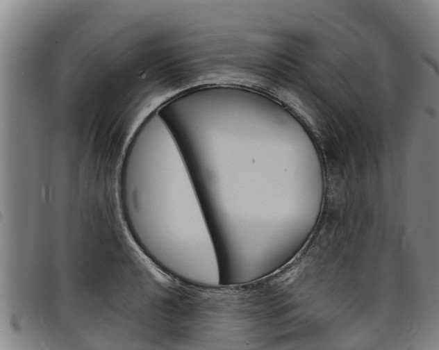 X0000098121040200804040819