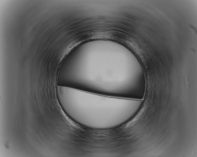 X0000098121041200804040819