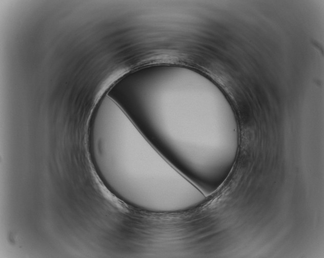 X0000098121042200804040819