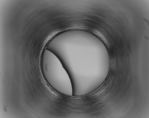 X0000098121043200804040819