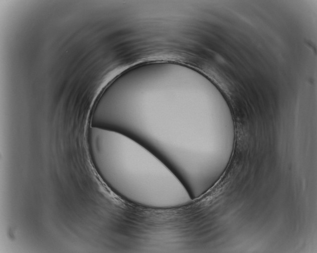 X0000098121044200804040819