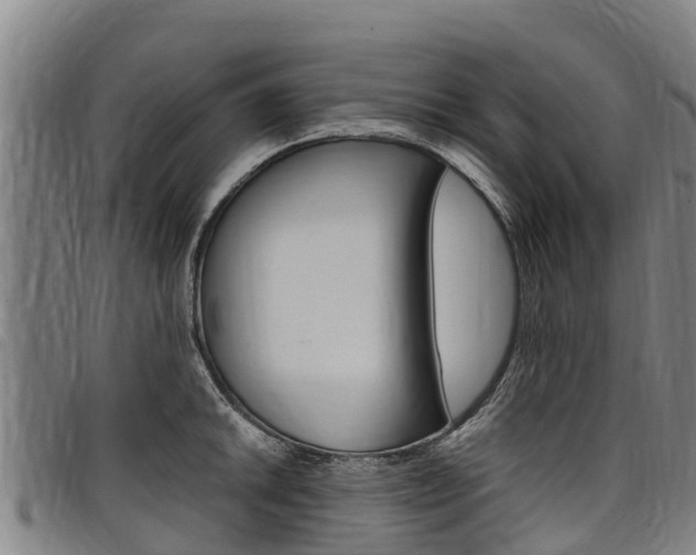X0000098121046200804040819