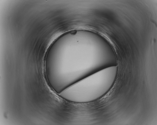 X0000098121048200804040819