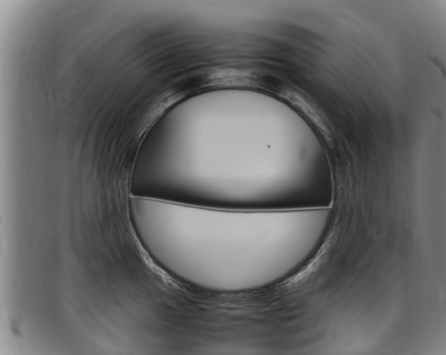 X0000098121049200804040819