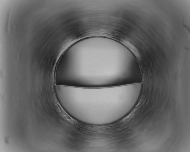 X0000098121052200804040819