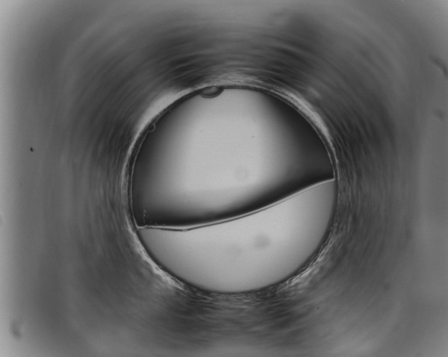 X0000098121053200804040819