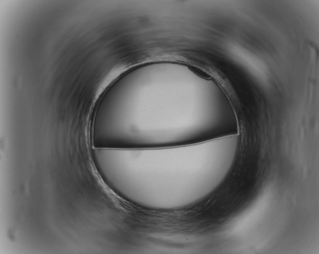 X0000098121054200804040819