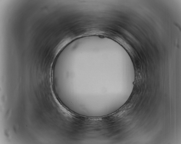 X0000098121055200804040819
