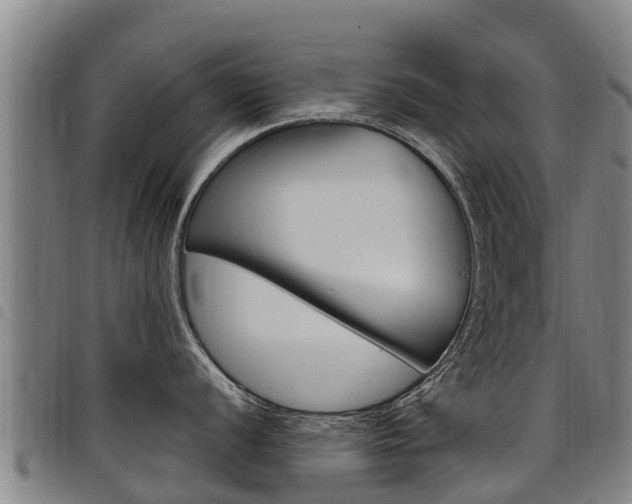 X0000098121056200804040819