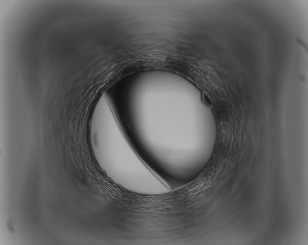 X0000098121057200804040819