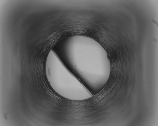 X0000098121058200804040819