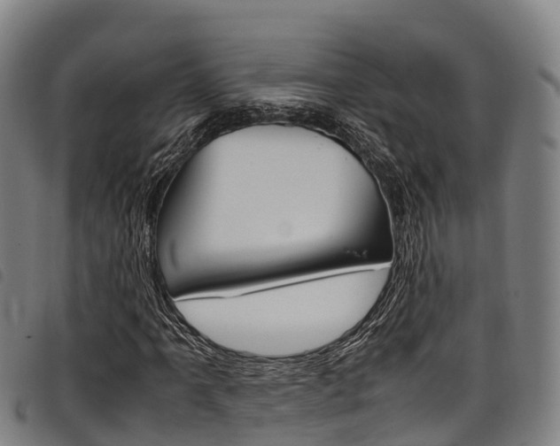 X0000098121061200804040819