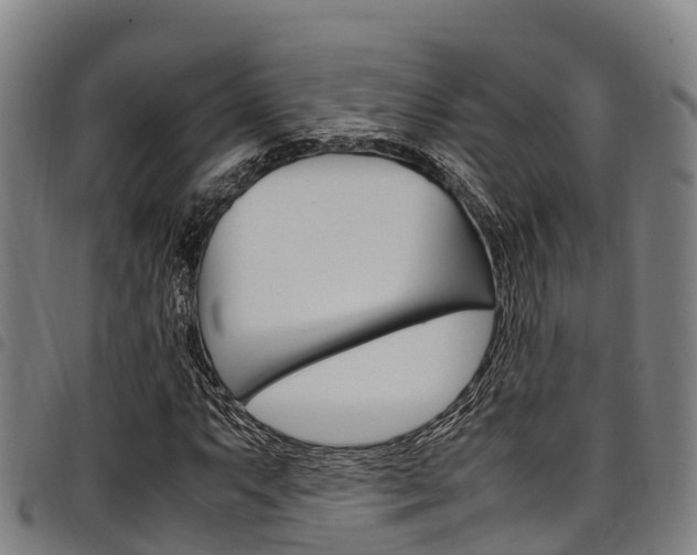 X0000098121063200804040819