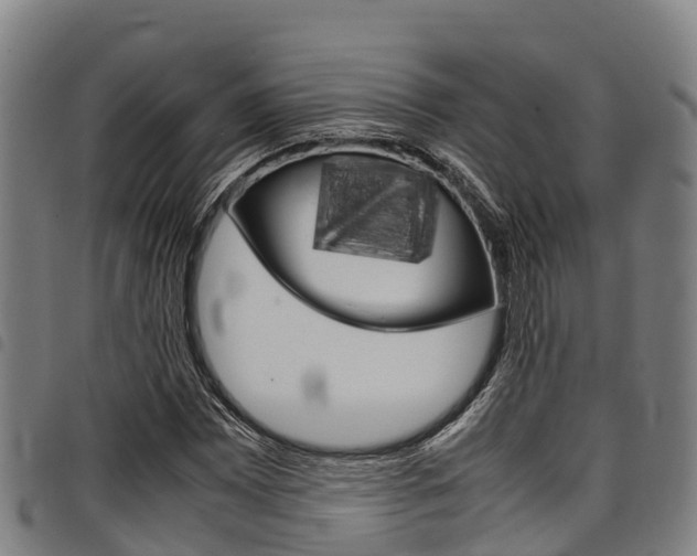 X0000098121065200804040819