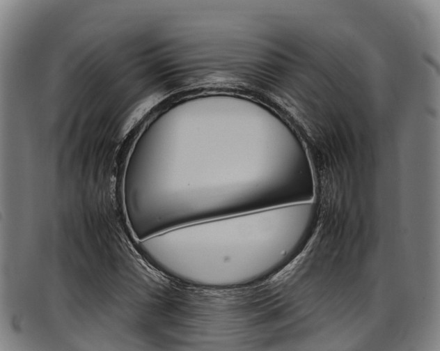 X0000098121066200804040819