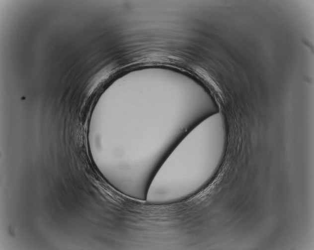 X0000098121067200804040818