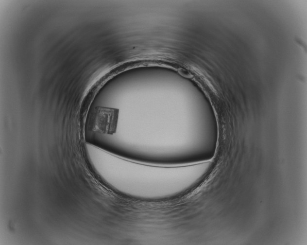 X0000098121069200804040818