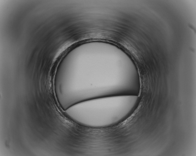 X0000098121070200804040818