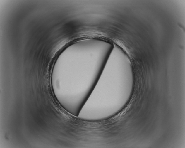 X0000098121071200804040818