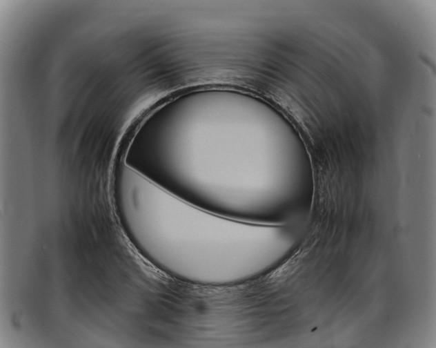 X0000098121072200804040818
