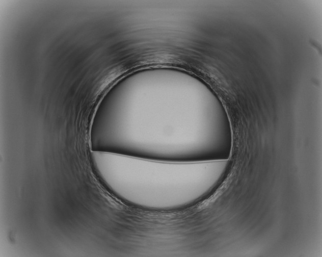 X0000098121073200804040818