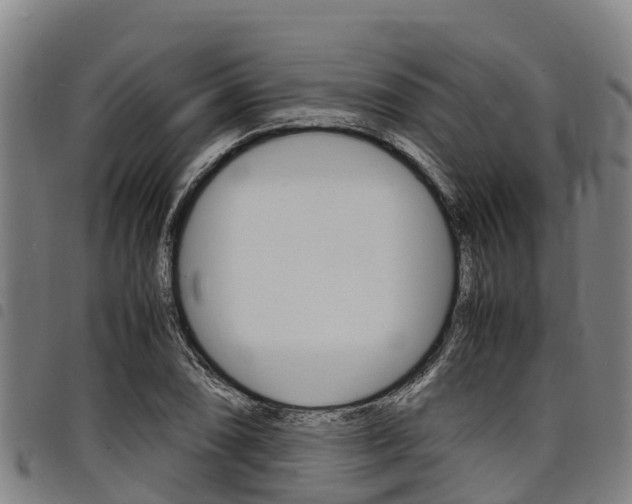 X0000098121074200804040818