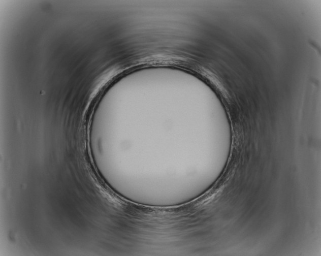X0000098121075200804040818