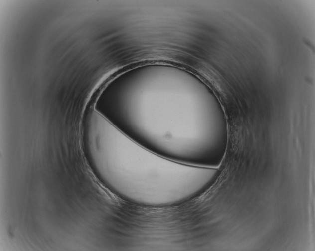 X0000098121076200804040818