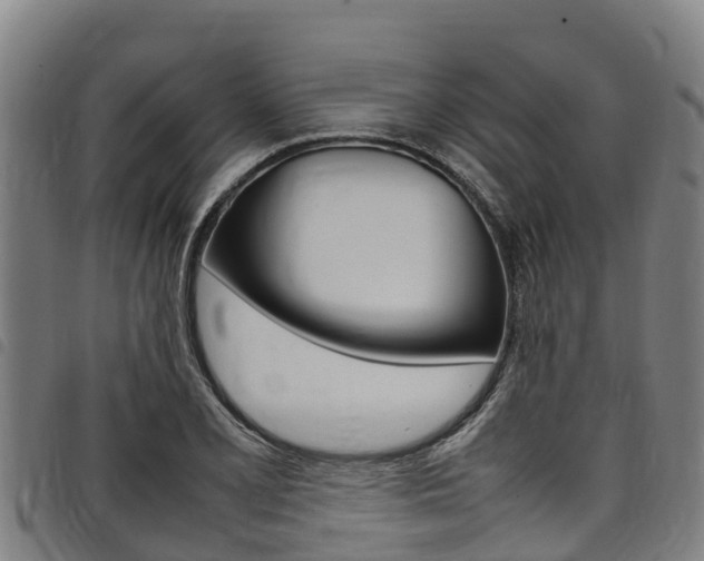 X0000098121077200804040818
