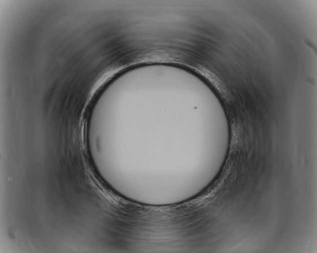 X0000098121078200804040818