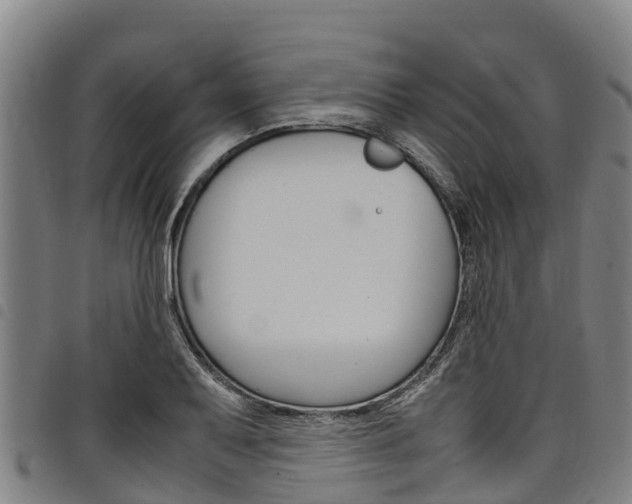 X0000098121079200804040818