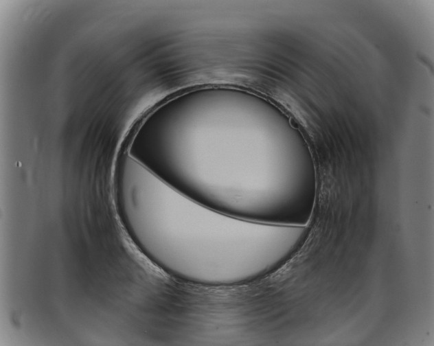 X0000098121080200804040818