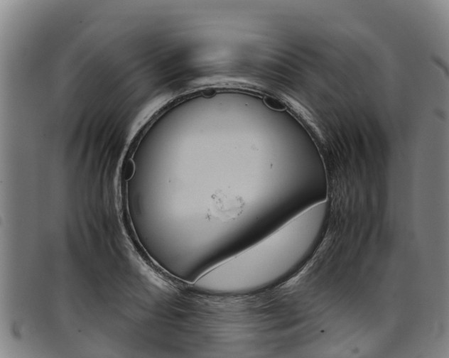 X0000098121082200804040818