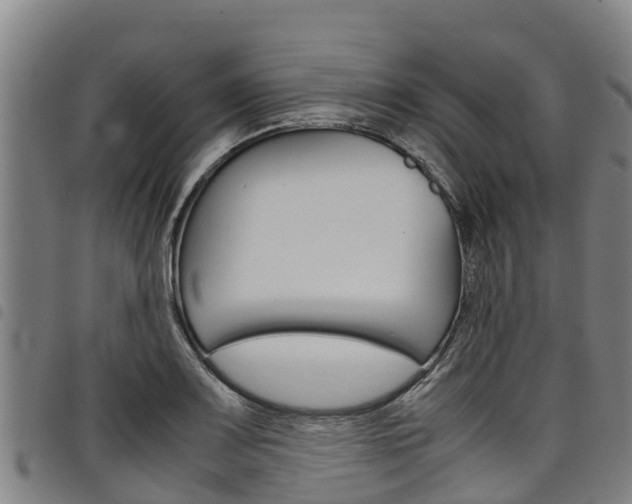 X0000098121083200804040818