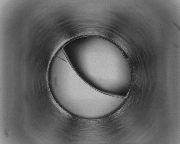 X0000098121084200804040818