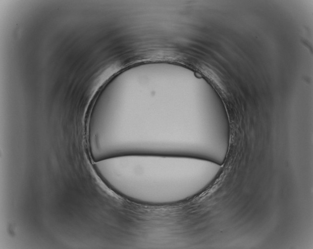 X0000098121087200804040818