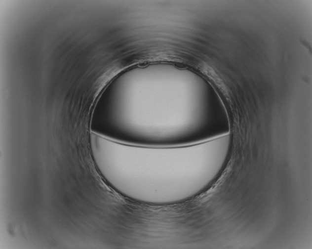 X0000098121089200804040818