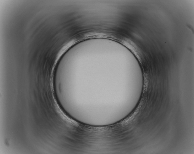 X0000098121090200804040818