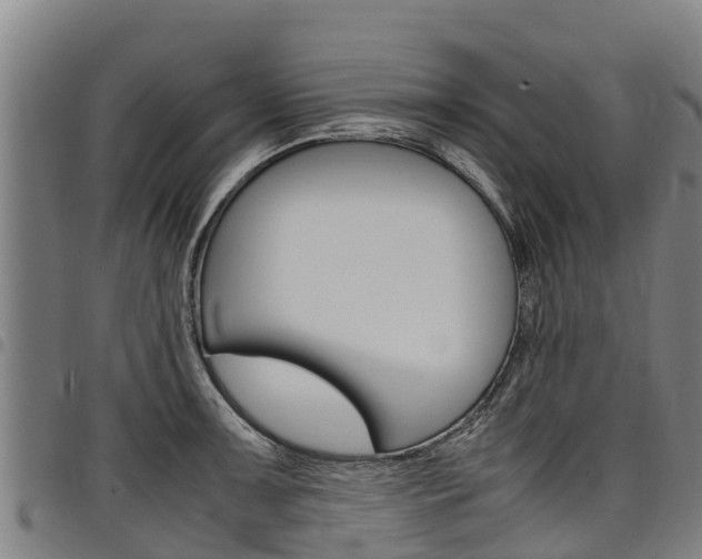 X0000098121091200804040818
