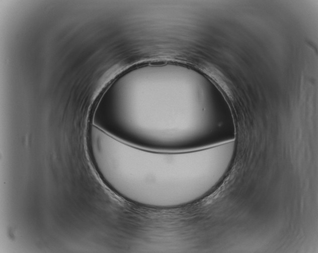 X0000098121093200804040818