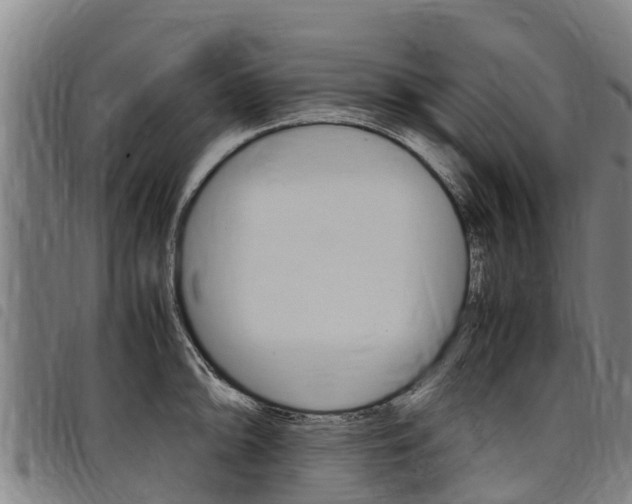X0000098121094200804040818