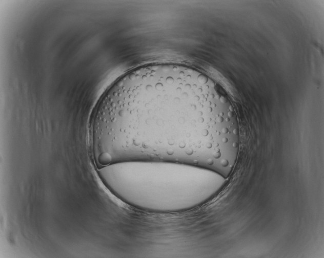 X0000098121095200804040818