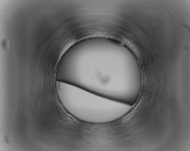 X0000098121097200804040818