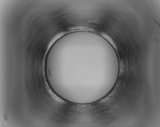 X0000098121098200804040818