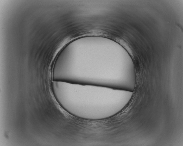 X0000098121099200804040818