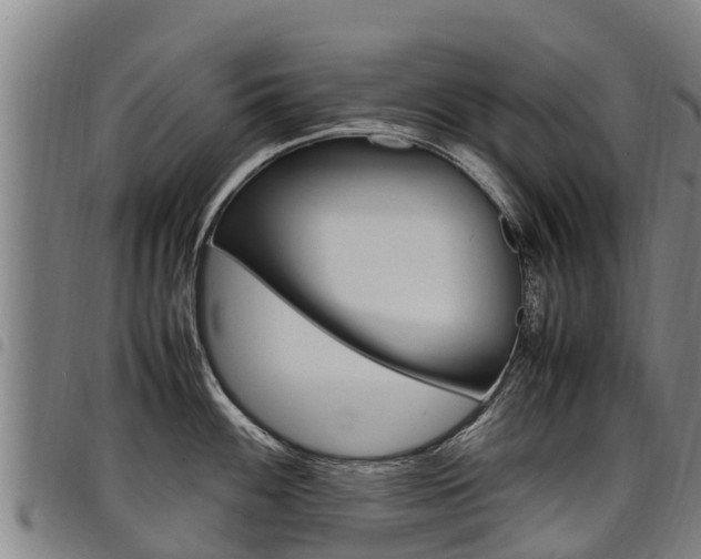 X0000098121100200804040818