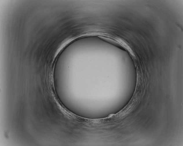 X0000098121101200804040818