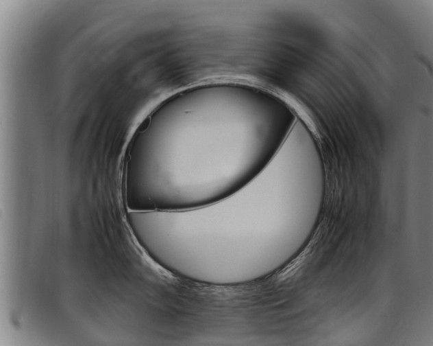 X0000098121102200804040818